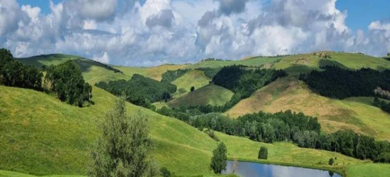 Group Retreat with Garden in Tuscany图片