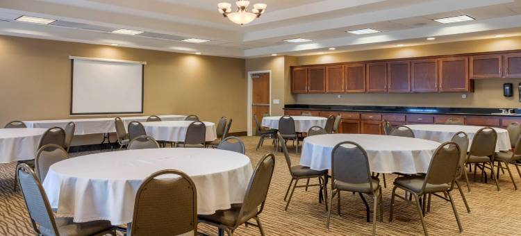 巴斯托I-15附近舒适套房酒店(Comfort Suites Barstow Near I-15)图片