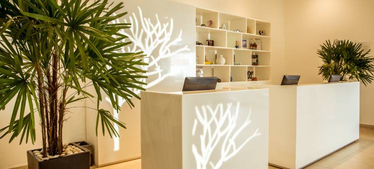 佩里费里克南费斯塔酒店 (Fiesta Inn Periferico Sur)图片