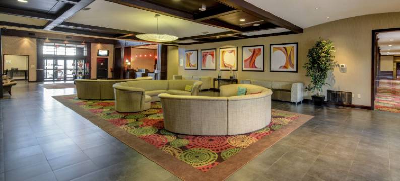 Holiday Inn 阿林顿东北流浪者棒球场(Holiday Inn ARLINGTON NE-RANGERS BALLPARK by IHG)图片