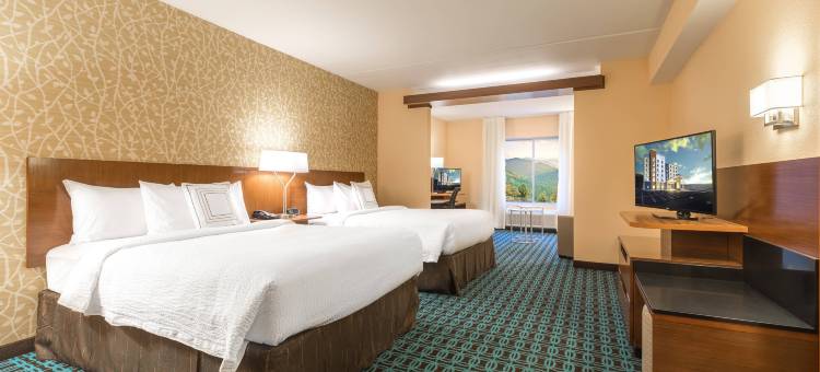 阿什维尔隧道路万枫酒店及套房(Fairfield Inn & Suites Asheville Tunnel Road)图片