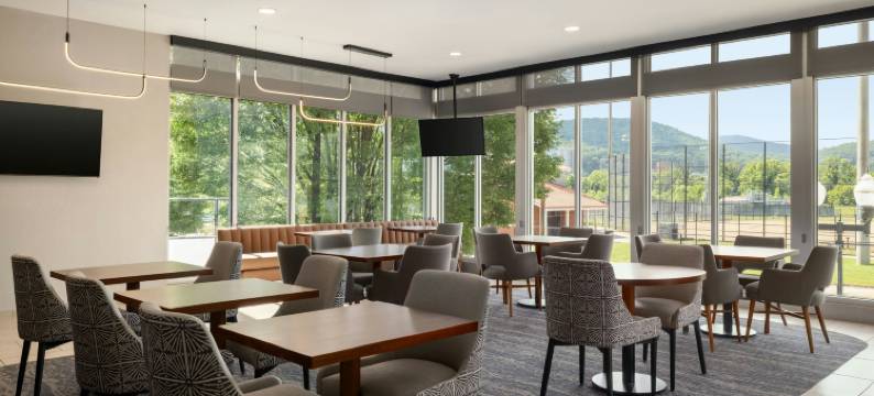 罗阿诺克万豪SpringHill酒店(SpringHill Suites Roanoke)图片
