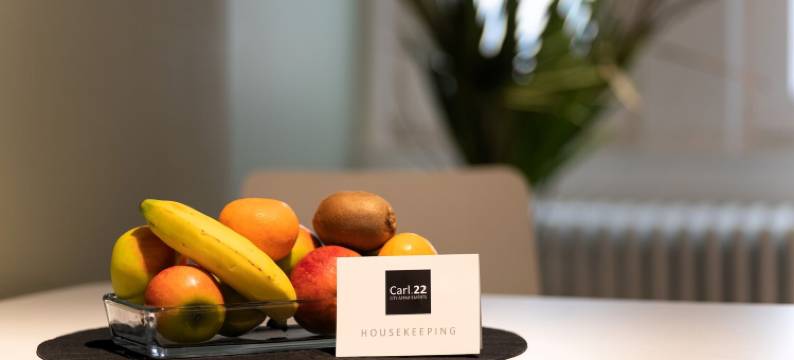 卡尔22号城市公寓(Carl.22 City Appartements)图片