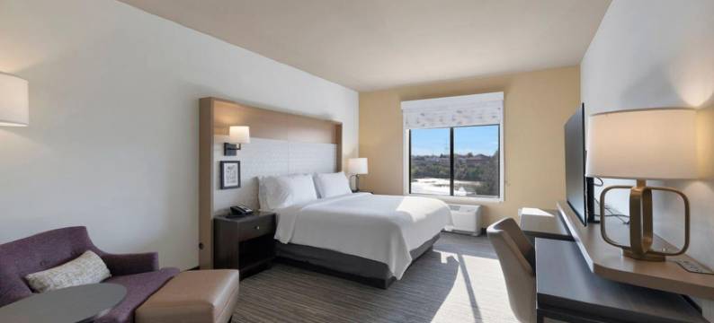 芝加哥廷利公园洲际假日酒店(Holiday Inn CHICAGO – TINLEY PARK by IHG)图片