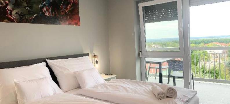 扎拉卡罗斯梅塞高级旅馆(Mese Panzió Zalakaros)图片