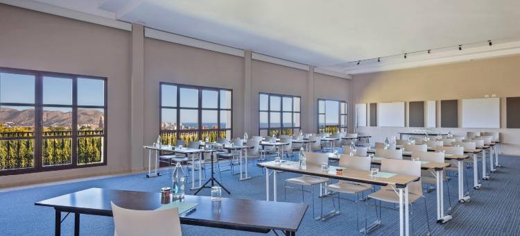 维莱塔纳美利亚水平别墅(The Level at Melia Villaitana)图片