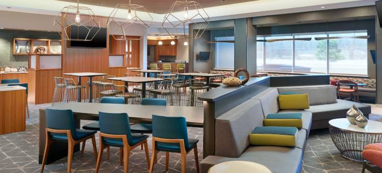 万豪春丘田纳西阿灵顿酒店(SpringHill Suites Arlington TN)图片
