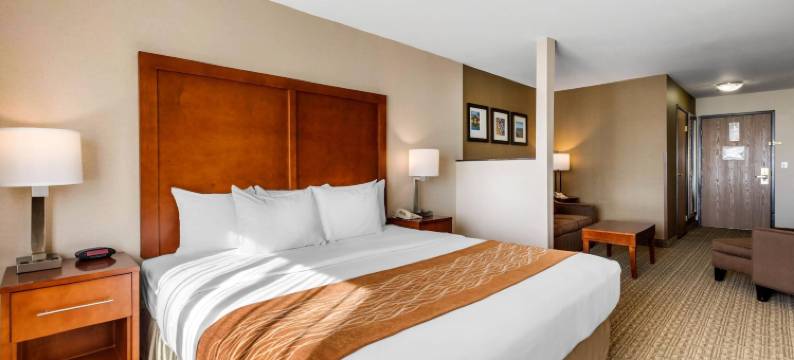 穆列塔-特曼库拉-葡萄酒之乡舒适酒店(Comfort Inn & Suites Murrieta Temecula Wine Country)图片