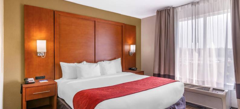 布伦瑞克舒适酒店(Comfort Suites Brunswick)图片