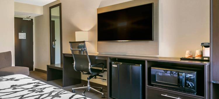 阿伦敦 - 福格尔斯维尔舒眠酒店(Sleep Inn Allentown-Fogelsville)图片