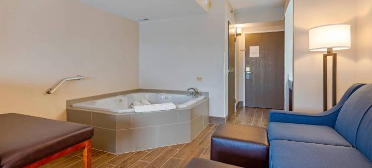 威尔克斯巴里竞技场舒适套房酒店(Comfort Inn & Suites Wilkes Barre - Arena)图片
