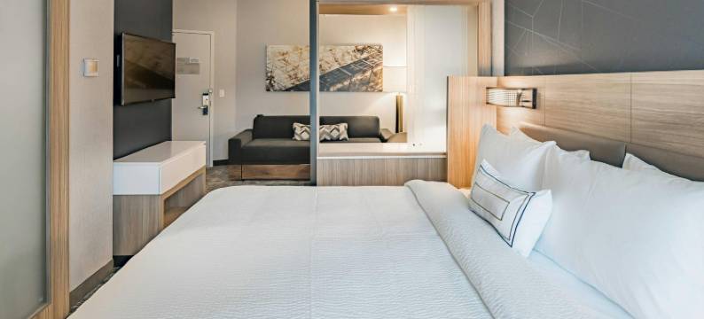 达拉斯麦金尼艾伦SpringHill Suites酒店(SpringHill Suites Dallas McKinney/Allen)图片