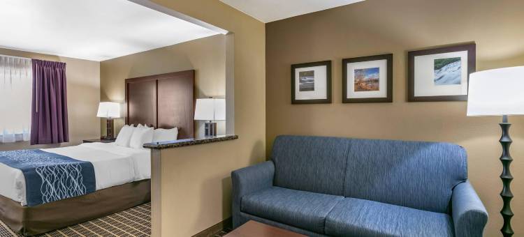 北柯林斯堡舒适酒店(Comfort Inn Fort Collins North)图片