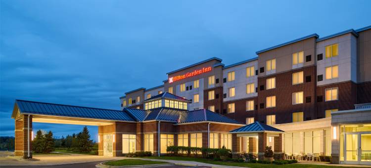 底特律特洛伊希尔顿花园酒店(Hilton Garden Inn Detroit Troy)图片