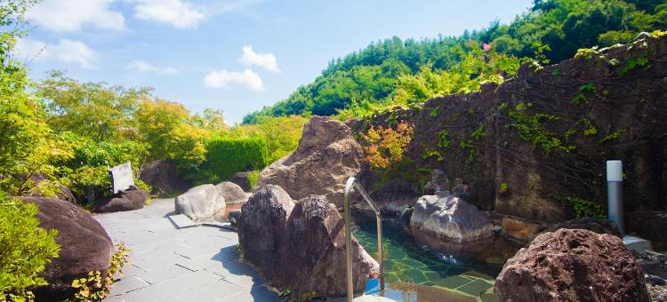 田泽温泉 富士屋(Tazawa Onsen Fujiya)图片
