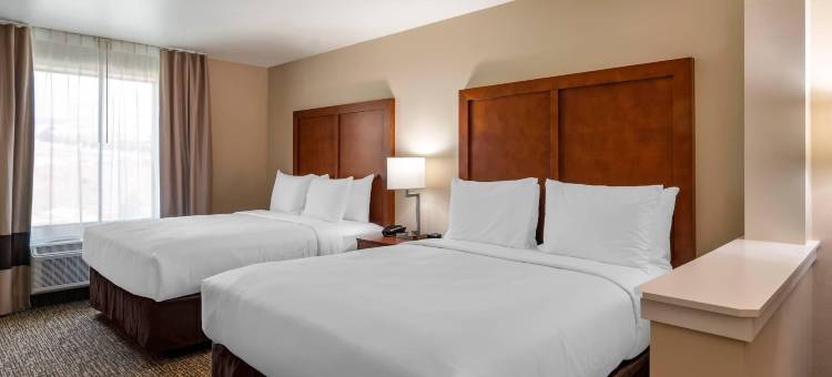 舒适酒店及套房(Comfort Inn & Suites)图片