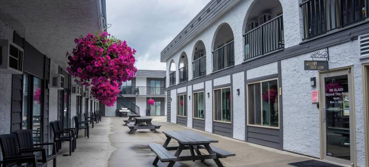 弗农庭院酒店(Courtyard Inn Vernon)图片