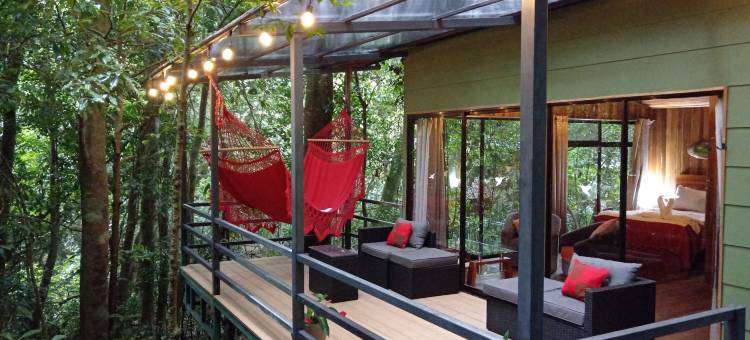丛林生活树屋(Jungle Living Tree Houses)图片