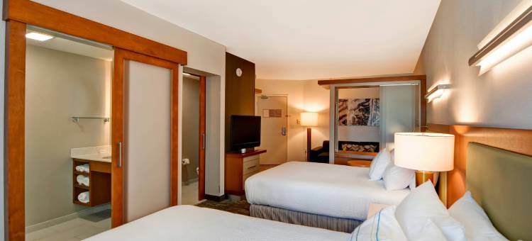 辛辛那提市中心区SpringHill Suites 酒店(SpringHill Suites Cincinnati Midtown)图片