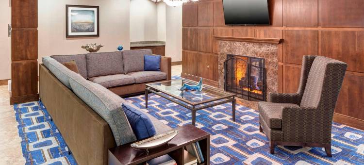 达拉斯普莱诺/理查森居家酒店(Residence Inn Dallas Plano/Richardson)图片