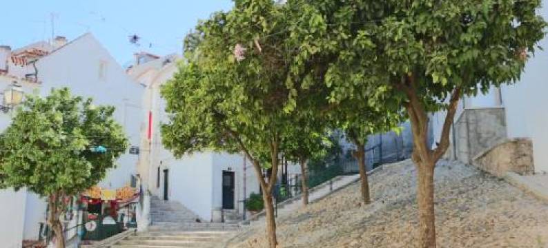 阿尔法玛库克公寓(Crooked House Alfama)图片