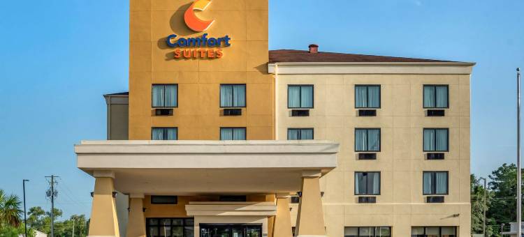 舒适套房酒店(Comfort Suites)图片