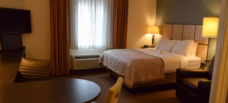 威奇托机场索尼斯塔简单套房酒店(Sonesta Simply Suites Wichita Airport)图片