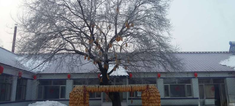 雾凇岛古船人家客栈图片