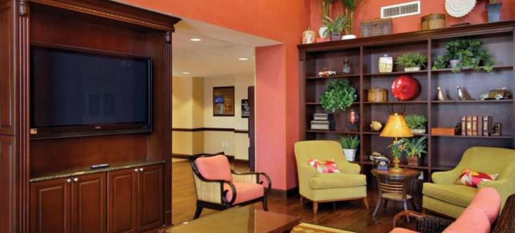坦帕韦斯利查普尔欢朋套房酒店(Hampton Inn & Suites Tampa-Wesley Chapel)图片