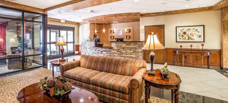 拉斯维加斯亨德森舒适套房酒店(Comfort Inn & Suites Henderson - Las Vegas)图片