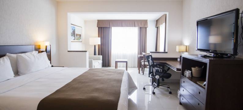 Holiday Inn Express 图斯特拉 - 古铁雷斯(Holiday Inn Express TUXTLA GUTIERREZ LA MARIMBA by IHG)图片