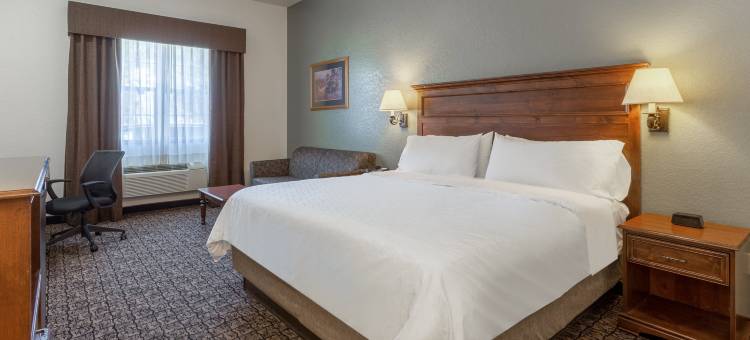 拉什莫尔山舒适套房酒店(Comfort Inn & Suites Mt Rushmore)图片