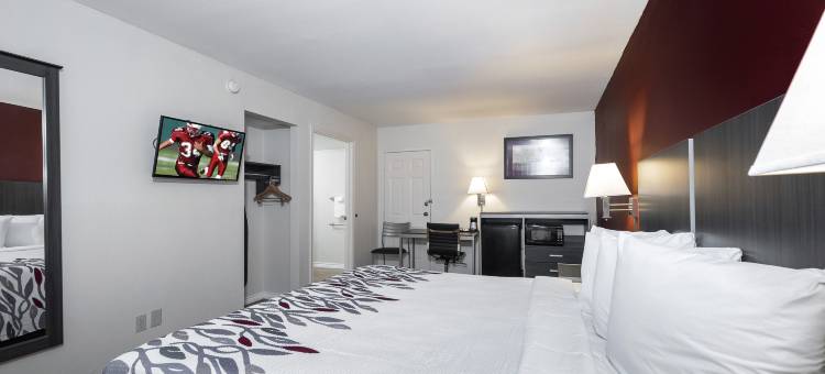 红顶酒店休斯顿北-FM1960&I-45(Red Roof Inn Houston North - FM 1960 & I-45)图片