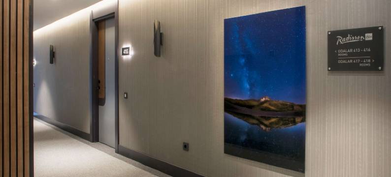 埃尔西耶斯山丽笙酒店(Radisson Blu Hotel, Mount Erciyes)图片