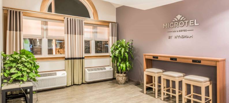Microtel Inn & Suites by Wyndham Victor/Rochester图片