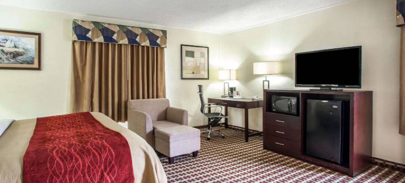 费斯特维尔-特雷弗斯舒适酒店(Comfort Inn Feasterville - Trevose)图片