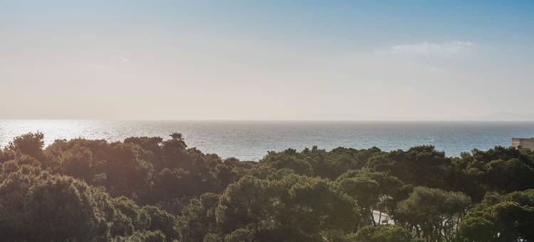 劳特帕尔马伊贝罗斯塔选择酒店(Iberostar Selection Llaut Palma- Adults Only)图片