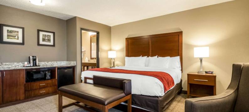 渥太华饿岩区舒适酒店(Comfort Inn Ottawa Starved Rock Area)图片