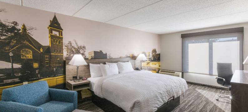 凯隆波因特酒店 - 近大学(Clarion Pointe Near University)图片