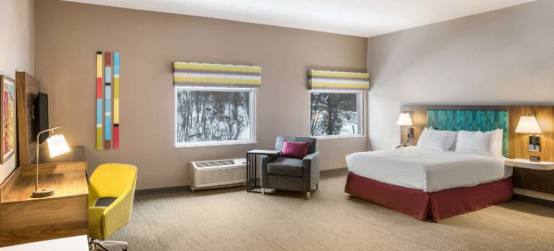 霍顿汉普顿套房酒店(Hampton Inn & Suites by Hilton Houghton)图片