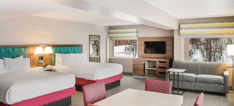 霍顿汉普顿套房酒店(Hampton Inn & Suites by Hilton Houghton)图片