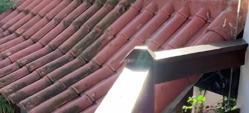 最佳套房(Melhores Suítes)图片