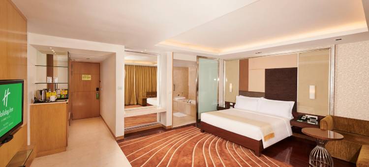 孟买国际机场假日酒店(Holiday Inn Mumbai International Airport)图片