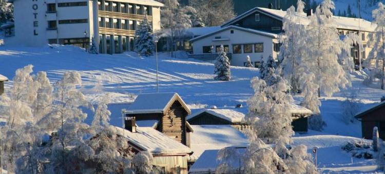 莫格达尔酒店(Morgedal Hotel - Unike Hoteller)图片