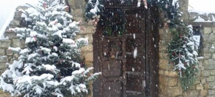 Enchanted Mountain图片