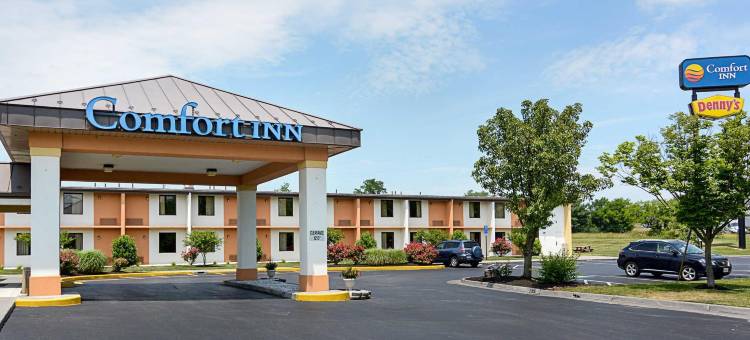 品质酒店(Quality Inn)图片