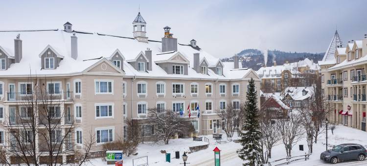 特朗布朗特智选假日套房酒店(Holiday Inn Express & Suites Tremblant)图片
