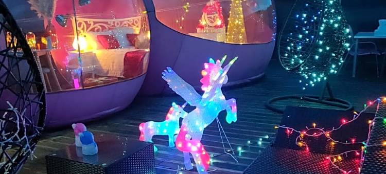 比勒安格酒店(La Bulle des Anges)图片