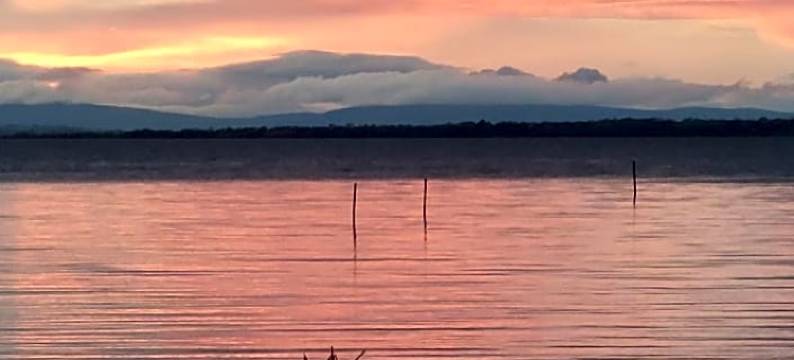 海湾小屋民宿(Bay Cottage Bed & Breakfast)图片