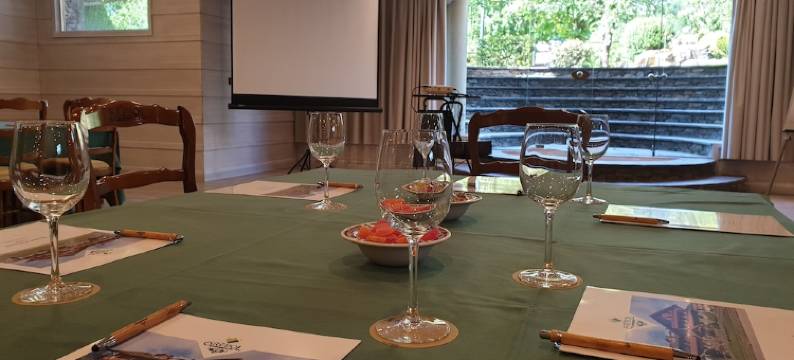 格列沃水疗酒店(Hotel Grèvol Spa)图片